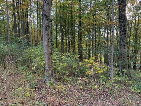 8020 Arbon Drive Millersburg OH 44654
