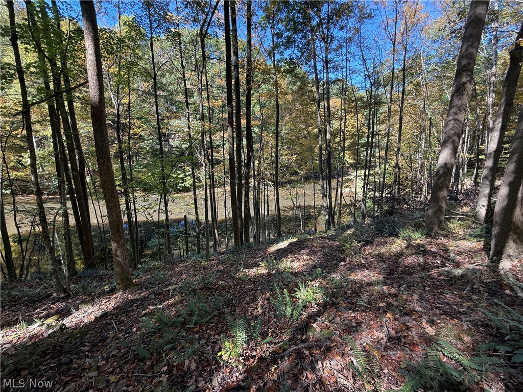 8020 Arbon Drive Millersburg OH 44654