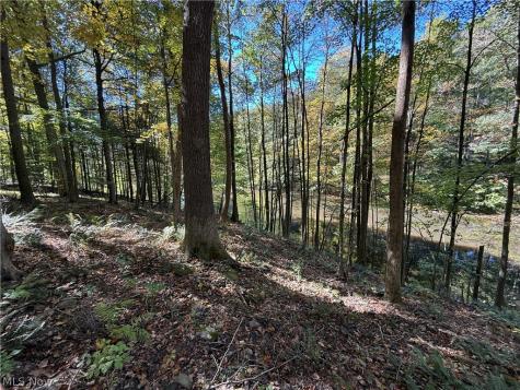 8020 Arbon Drive Millersburg OH 44654