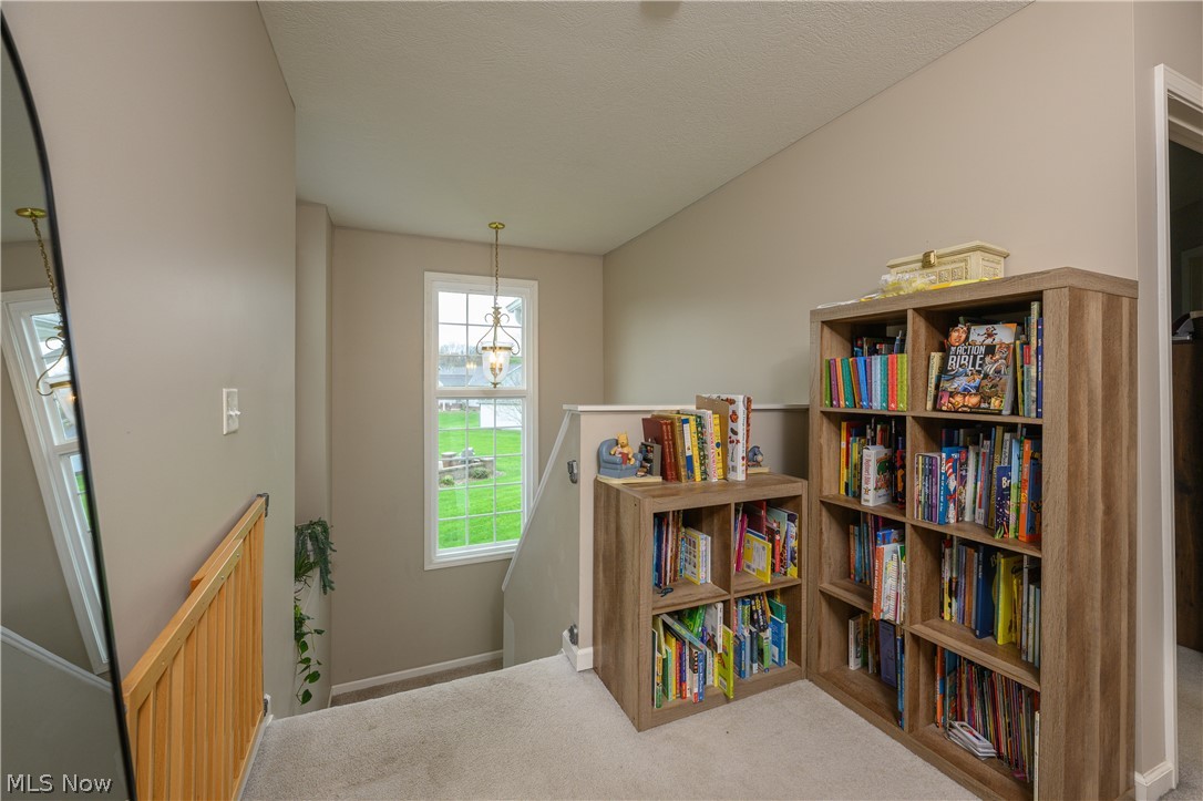 685 Willow Dale Street NW Bolivar OH 44612