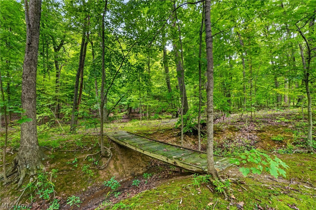 14627 Mill Hollow Lane Strongsville OH 44136