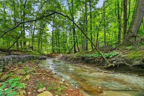 14627 Mill Hollow Lane Strongsville OH 44136