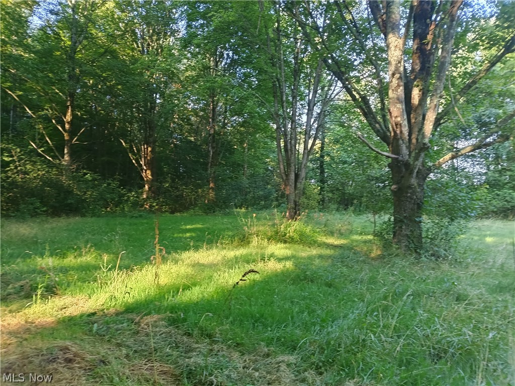 6168 Twitchell Road Andover OH 44003