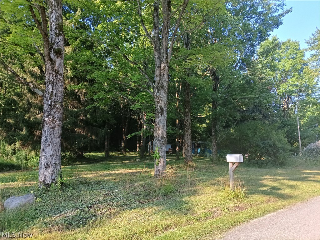 6168 Twitchell Road Andover OH 44003