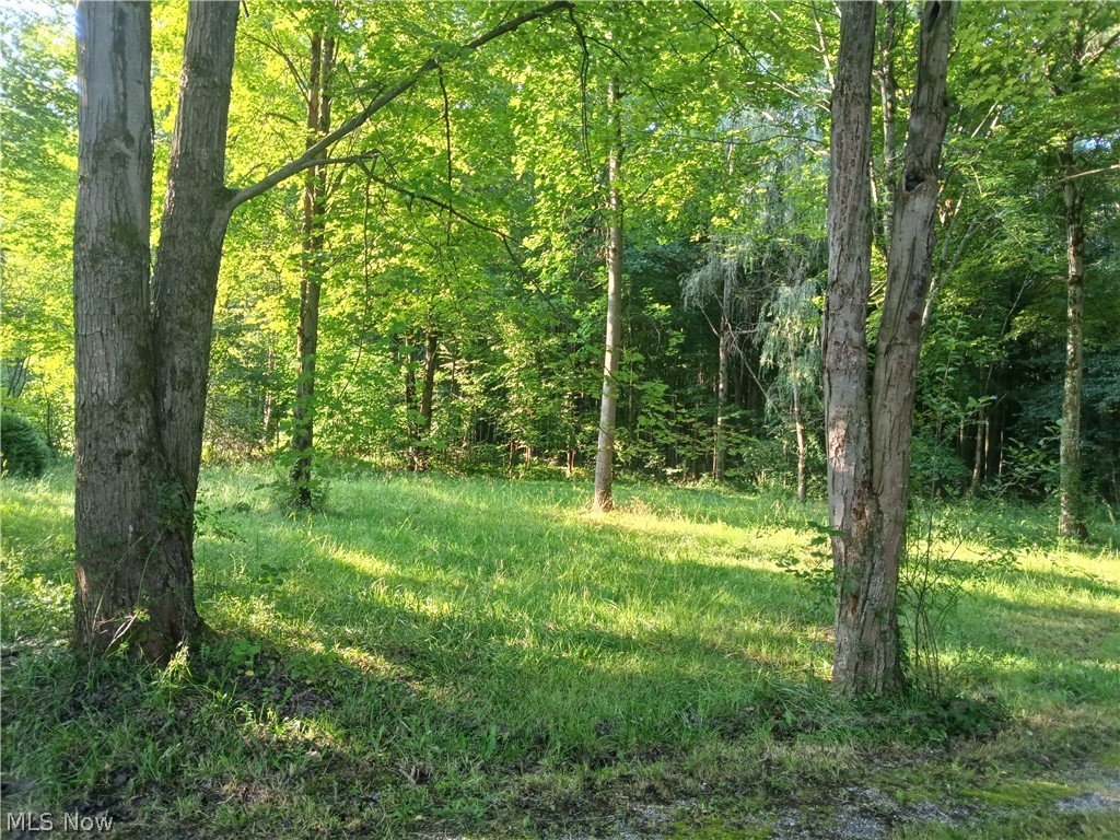 6168 Twitchell Road Andover OH 44003