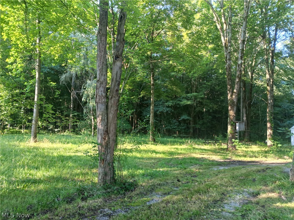 6168 Twitchell Road Andover OH 44003