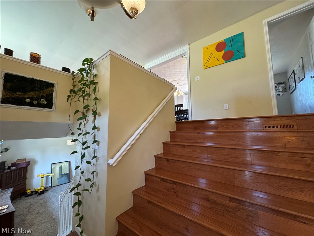 232 Eleanor Street Mingo Junction OH 43938