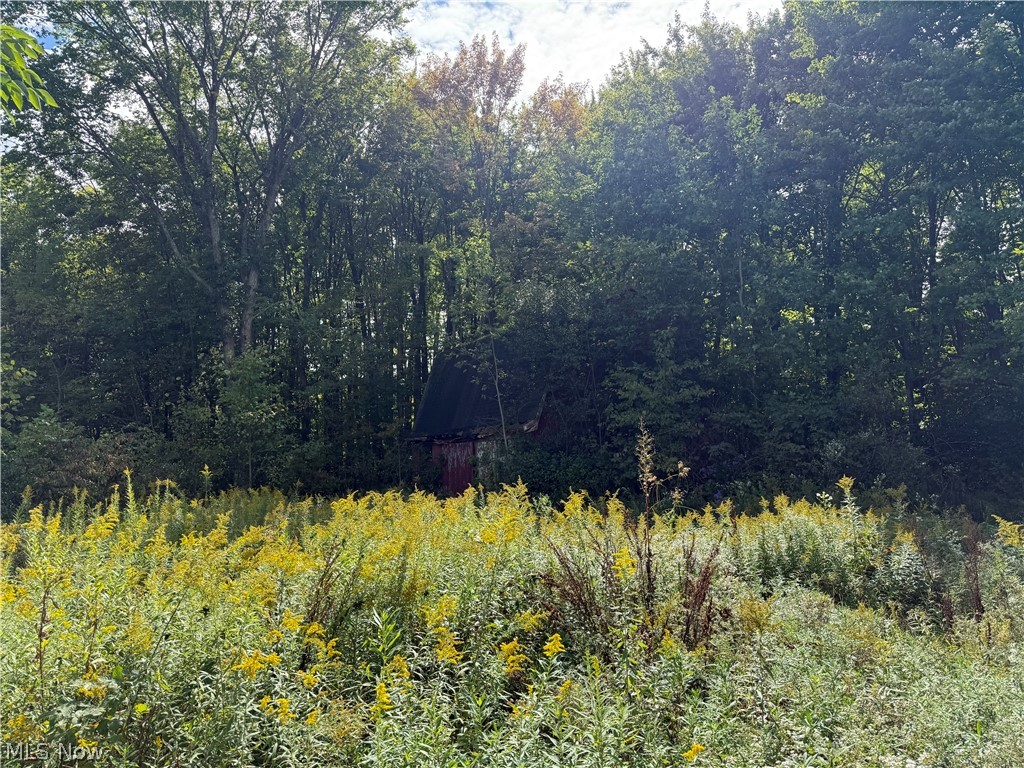 15909 Gar Highway Montville OH 44064