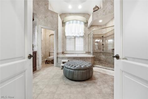 411 Stonebridge Drive Amherst OH 44001