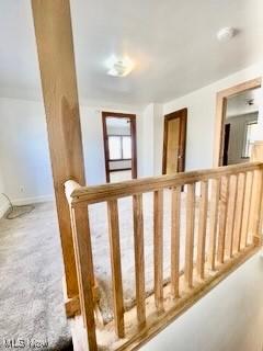 19031 Locherie Avenue Euclid OH 44119