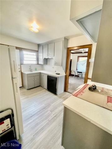 19031 Locherie Avenue Euclid OH 44119