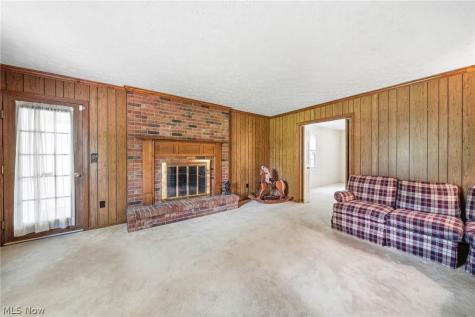 10 Concord Knoll Medina OH 44256