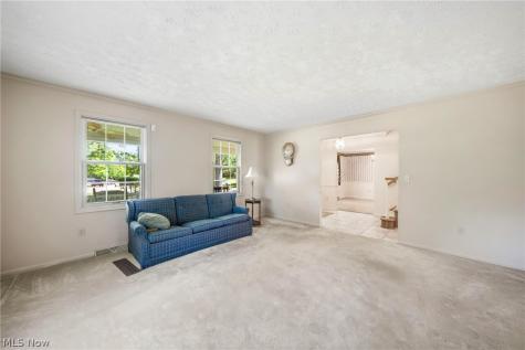 10 Concord Knoll Medina OH 44256