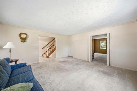 10 Concord Knoll Medina OH 44256