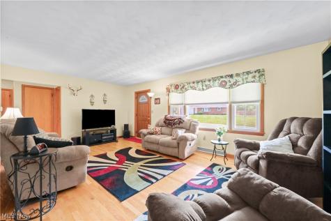311 Young Drive Lodi OH 44254