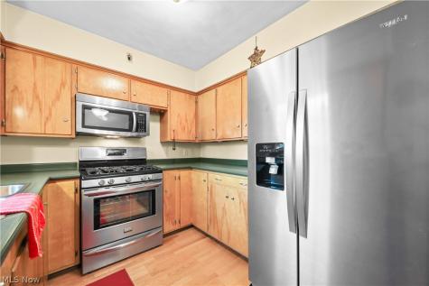 311 Young Drive Lodi OH 44254