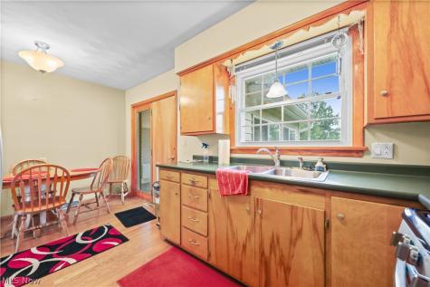 311 Young Drive Lodi OH 44254