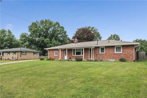 311 Young Drive Lodi OH 44254