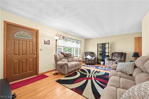 311 Young Drive Lodi OH 44254