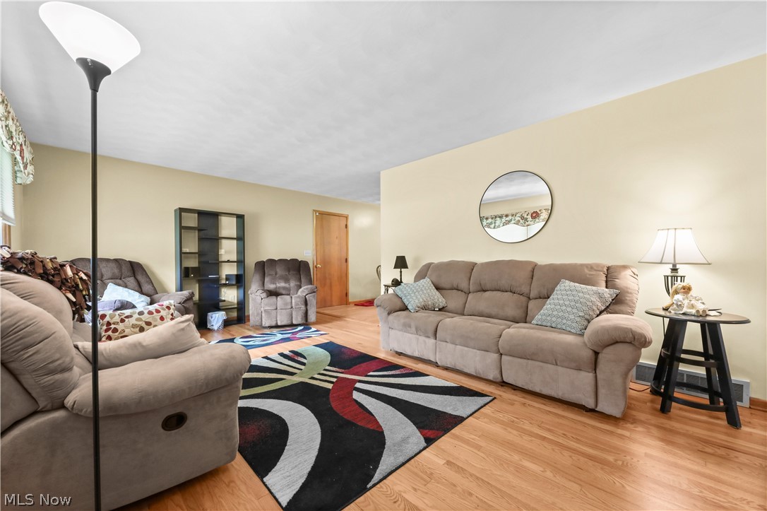 311 Young Drive Lodi OH 44254