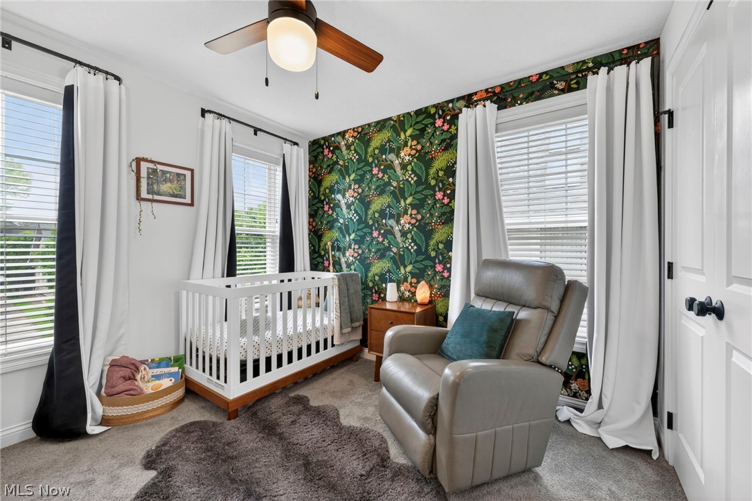 1315 Donald Avenue Lakewood OH 44107