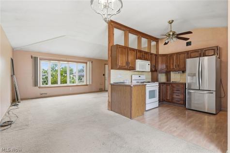 1511 David Avenue Parma OH 44134
