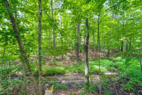 15292 Friendsville Road Burbank OH 44214