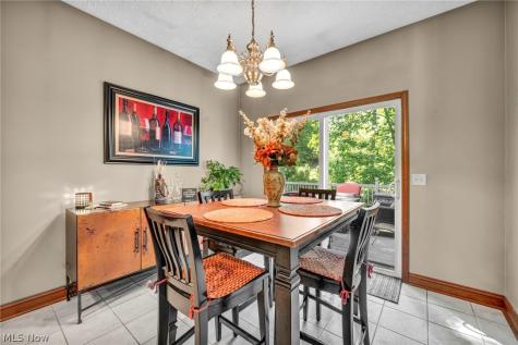 880 Shadow Creek Trail Amherst OH 44001