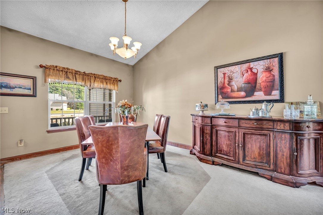 880 Shadow Creek Trail Amherst OH 44001