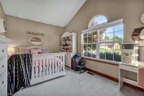 880 Shadow Creek Trail Amherst OH 44001