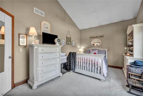 880 Shadow Creek Trail Amherst OH 44001