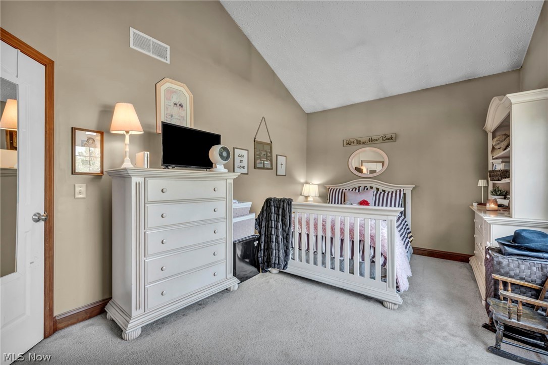 880 Shadow Creek Trail Amherst OH 44001