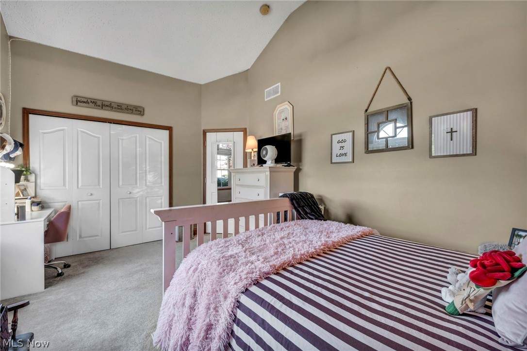 880 Shadow Creek Trail Amherst OH 44001