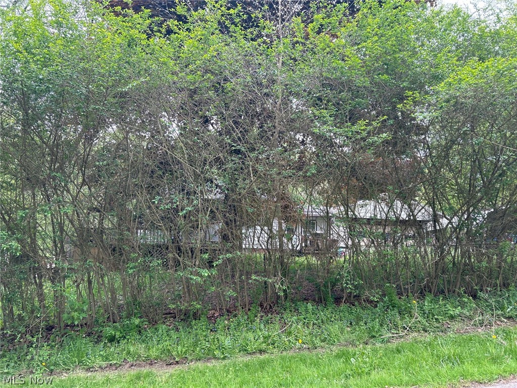 6604 Mapleton Street SE East Canton OH 44730