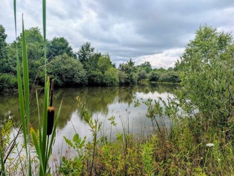 234 Township Road 581 Sullivan OH 44880