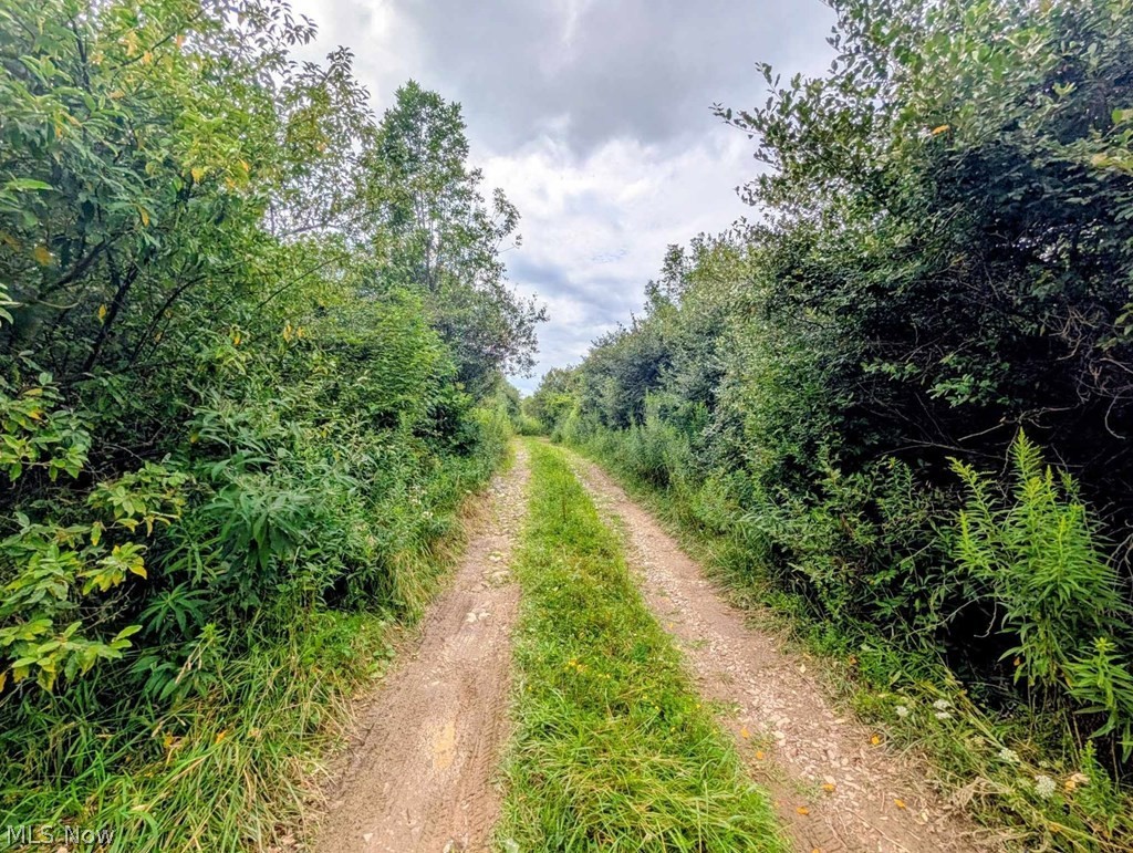 234 Township Road 581 Sullivan OH 44880
