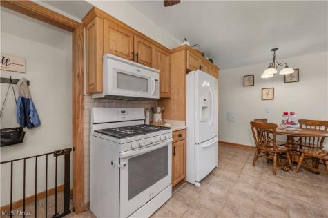 3209 Tressa Avenue Lorain OH 44052