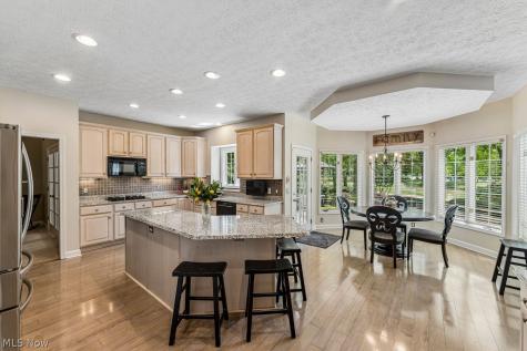 33617 St Francis Drive Avon OH 44011