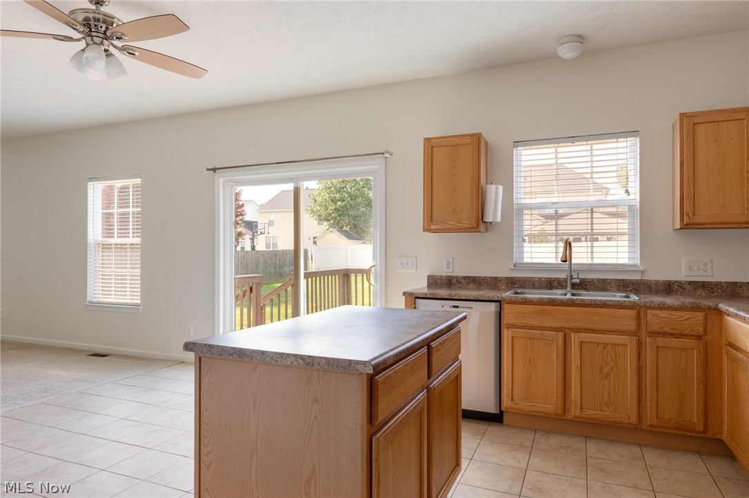 3780 Birchbark Avenue Norton OH 44203