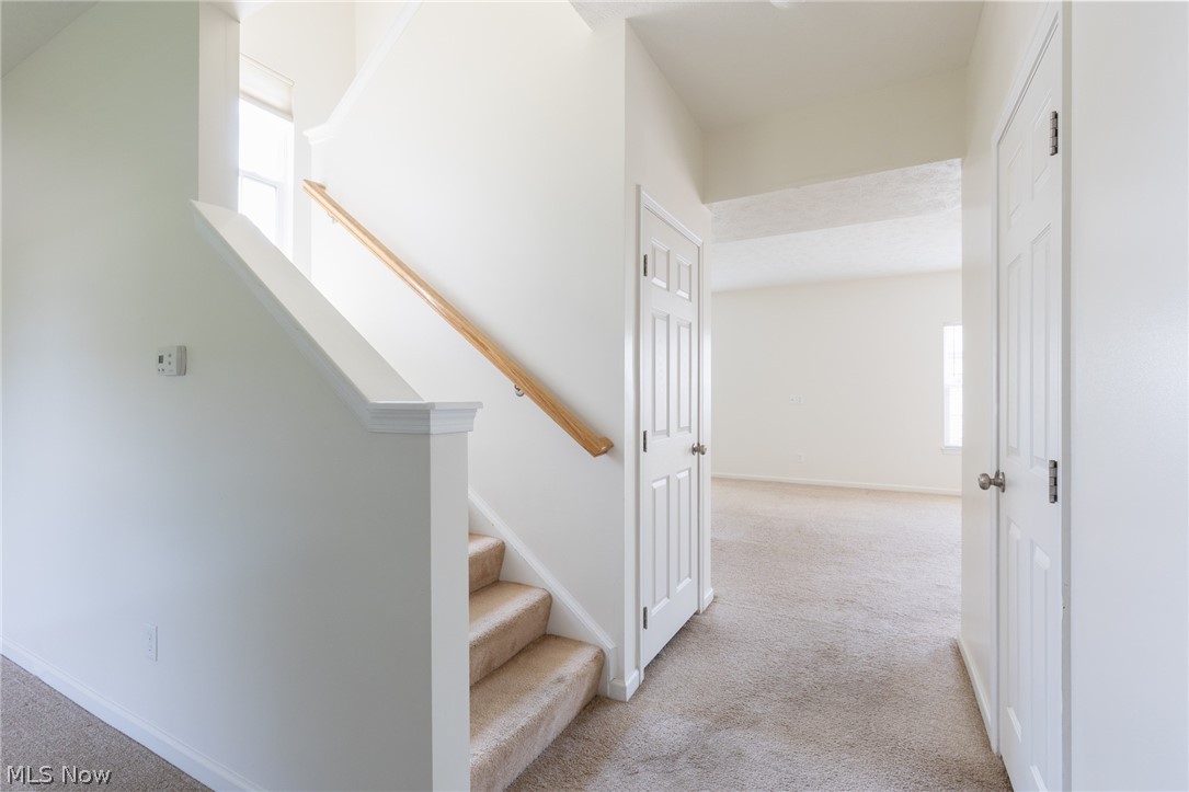 3780 Birchbark Avenue Norton OH 44203