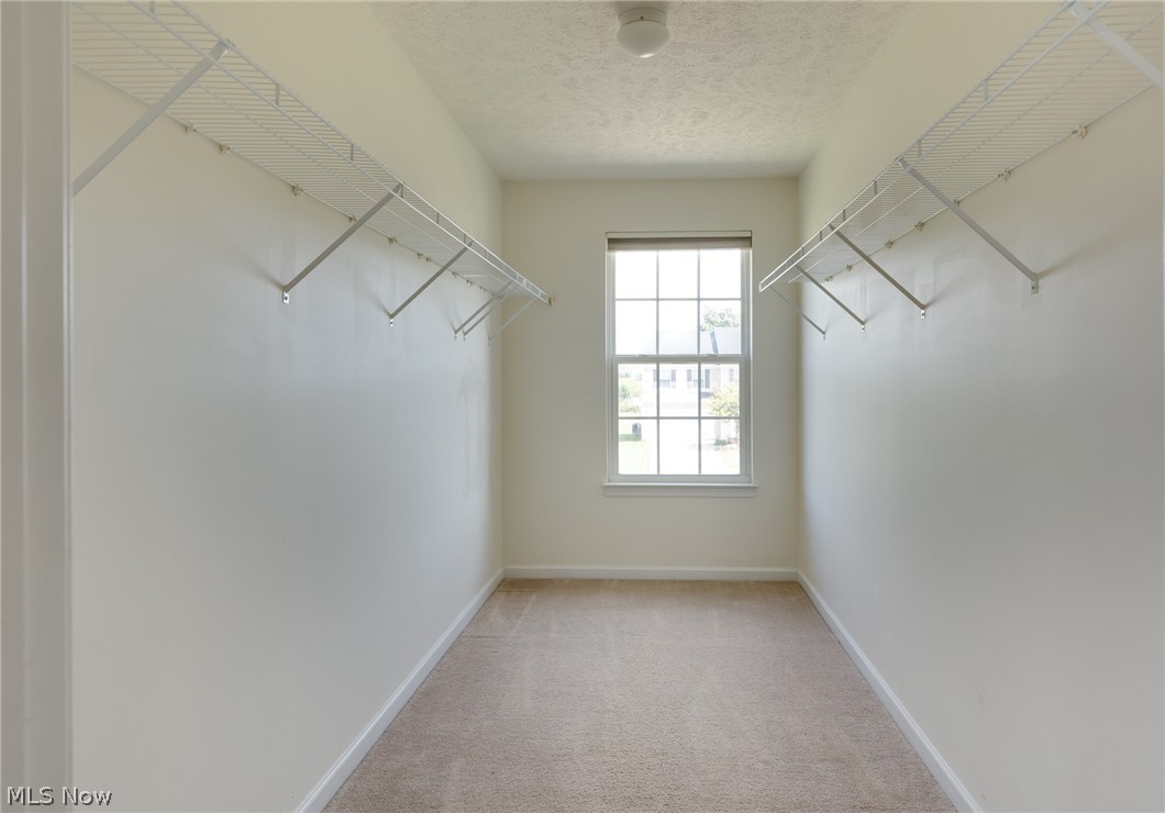 3780 Birchbark Avenue Norton OH 44203