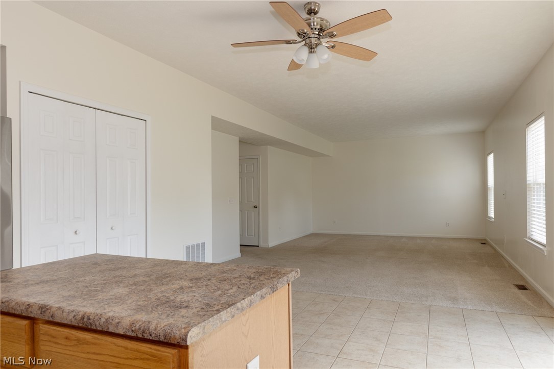 3780 Birchbark Avenue Norton OH 44203