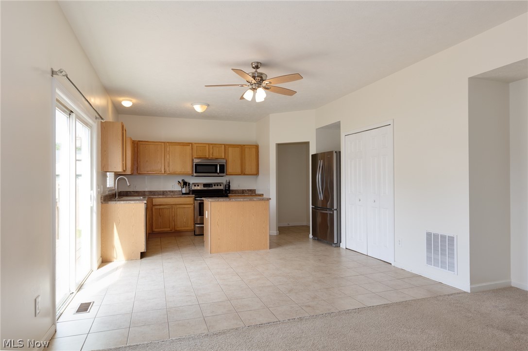 3780 Birchbark Avenue Norton OH 44203