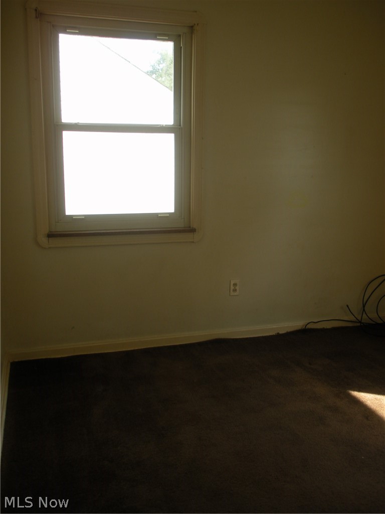 12503 Carrington Avenue Cleveland OH 44135