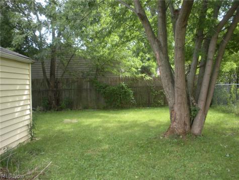 12503 Carrington Avenue Cleveland OH 44135