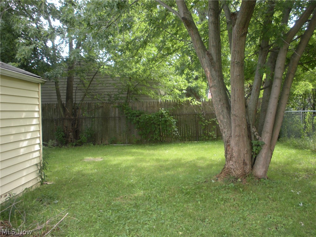 12503 Carrington Avenue Cleveland OH 44135