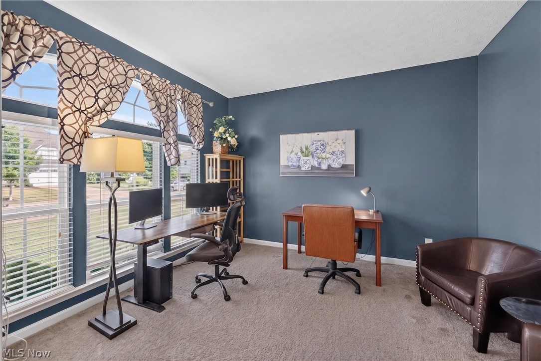 7941 Megan Meadow Drive Hudson OH 44236