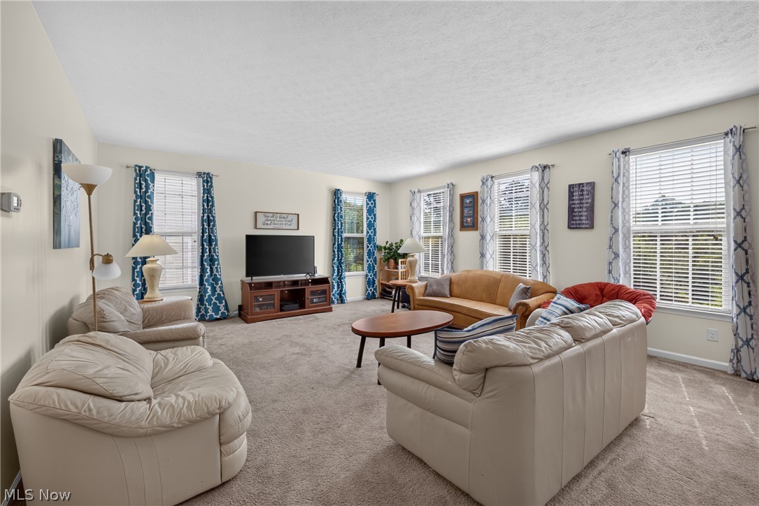 7941 Megan Meadow Drive Hudson OH 44236