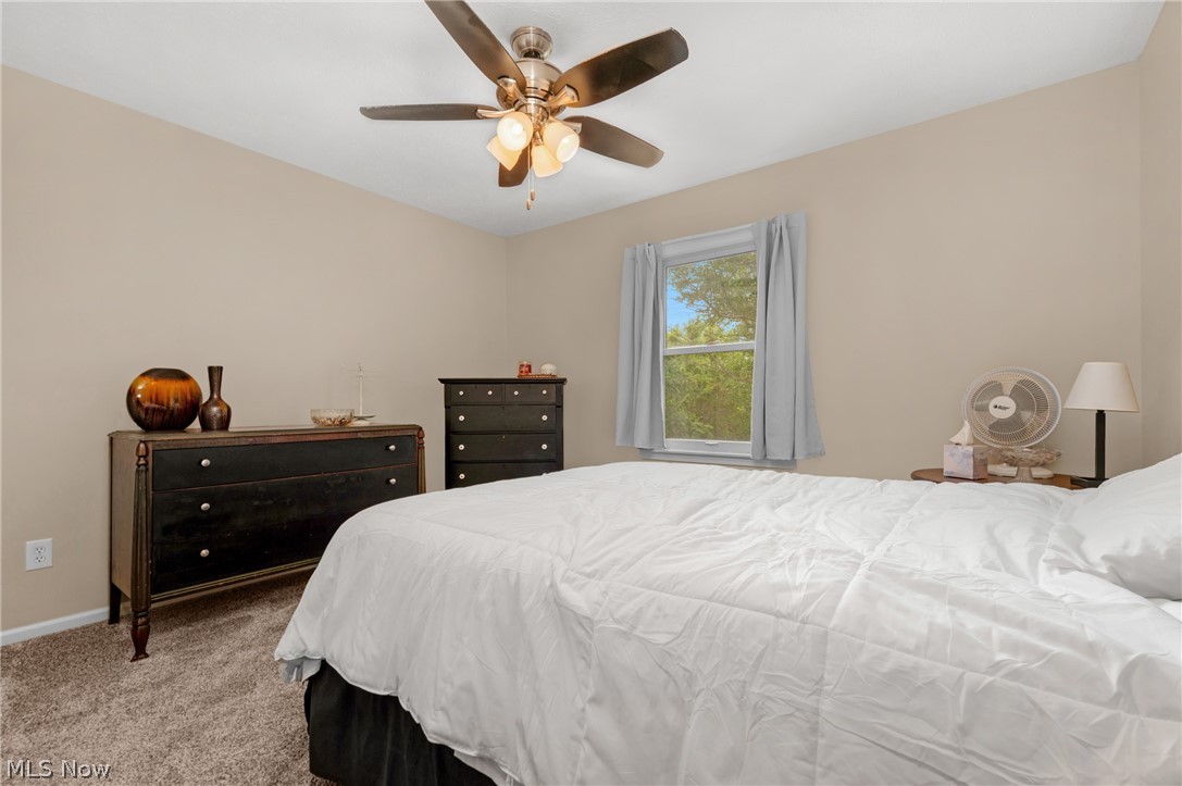 4218 Canterbury Drive Brunswick OH 44212