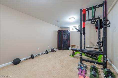 4218 Canterbury Drive Brunswick OH 44212